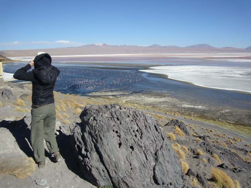 Travel - Bolivia - Salar De Uyuni - Laguna 4